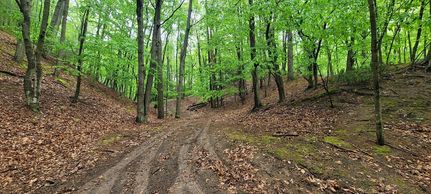 Land for sale in Oceana County, Michigan