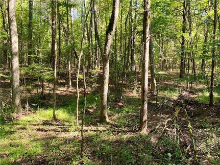 Land for sale in Abbeville County, South Carolina