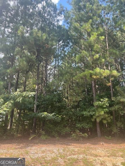 Land for sale in Walton County, Georgia