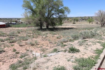 Land for sale in Montezuma County, Colorado