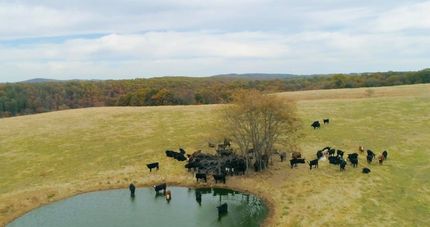 Land for sale in Ozark County, Missouri