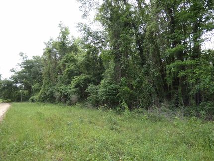 Land for sale in Jefferson County, Florida