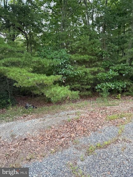 Land for sale in Westmoreland County, Virginia