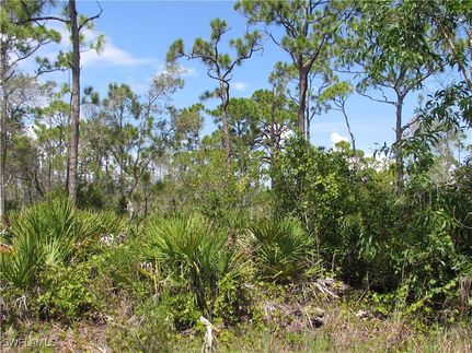 Undeveloped Land for sale in Lee County, Florida