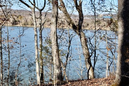 Land for sale in Meigs County, Tennessee