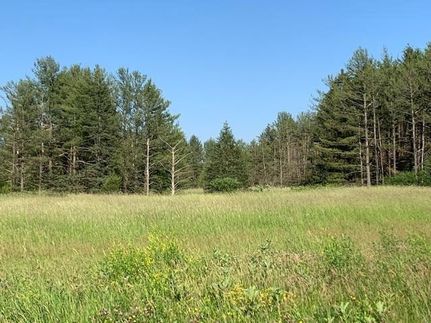 Land for sale in Waupaca County, Wisconsin