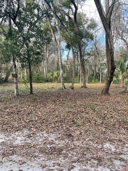Land for sale in Marion County, Florida