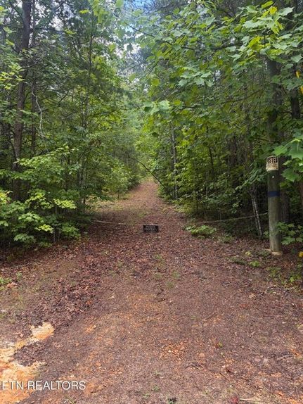 Land for sale in Blount County, Tennessee