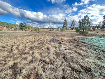 Land for sale in Archuleta County, Colorado