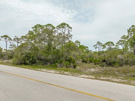Homesite for sale in Franklin County, Florida
