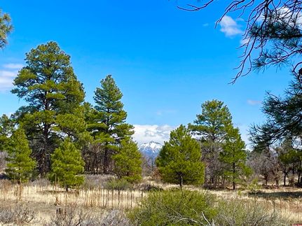 Homesite for sale in Archuleta County, Colorado