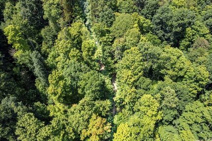 Land for sale in Pike County, Ohio