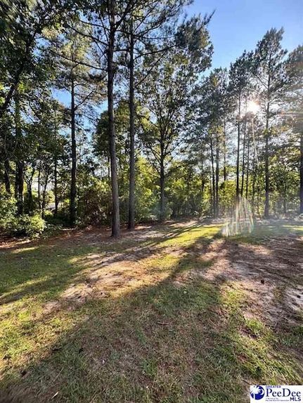 Land for sale in Chesterfield County, South Carolina