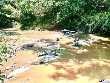 Land for sale in Chesterfield County, South Carolina