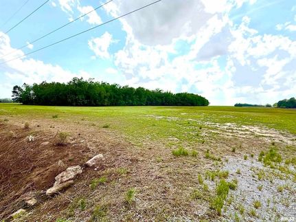 Undeveloped Land for sale in Gallatin County, Illinois