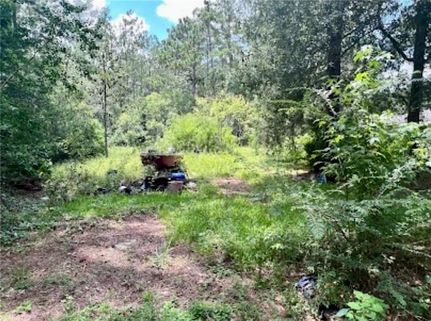 Land for sale in Saint Tammany Parish, Louisiana