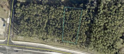 Homesite for sale in Camden County, Georgia