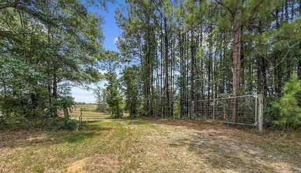 Land for sale in Barbour County, Alabama
