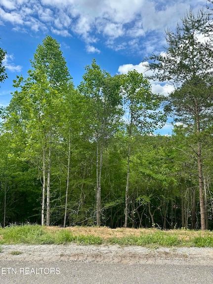 Land for sale in Campbell County, Tennessee