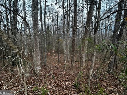 Land for sale in Spalding County, Georgia