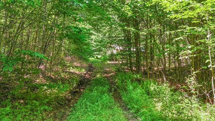 Land for sale in Essex County, New York