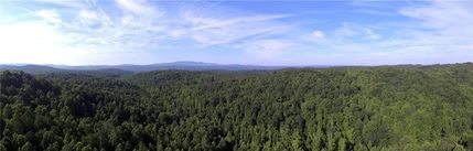 Land for sale in Pickens County, Georgia