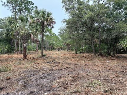 Land for sale in Hendry County, Florida