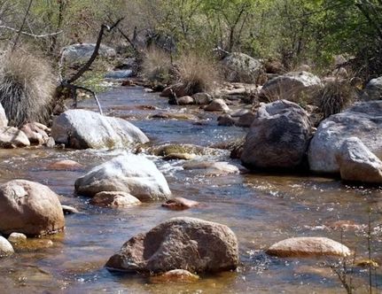 Land for sale in Douglas County, Nevada