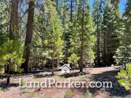 Land for sale in Modoc County, California