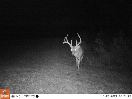 Land for sale in Union County, Illinois