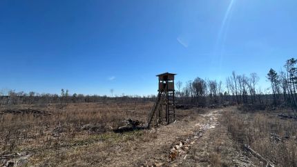 Land for sale in Jefferson County, Arkansas