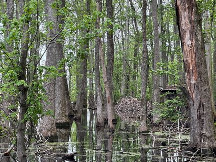 Land for sale in Woodruff County, Arkansas