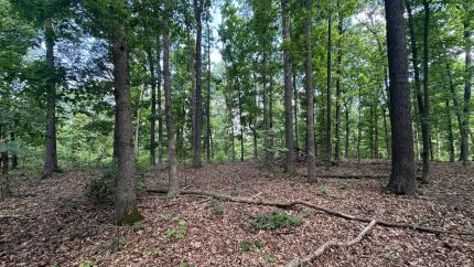 Land for sale in Sharp County, Arkansas