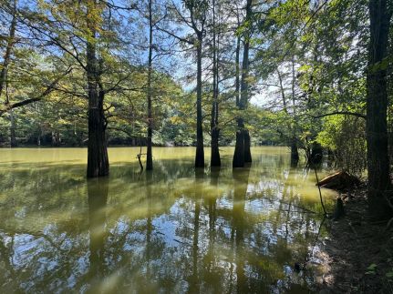 House for sale in Woodruff County, Arkansas