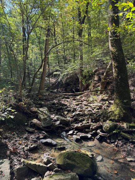 Land for sale in Van Buren County, Arkansas