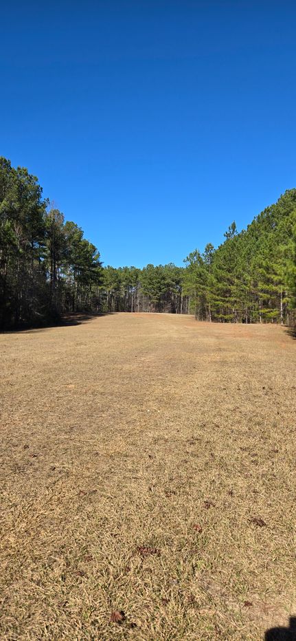 Land for sale in Jones County, Georgia