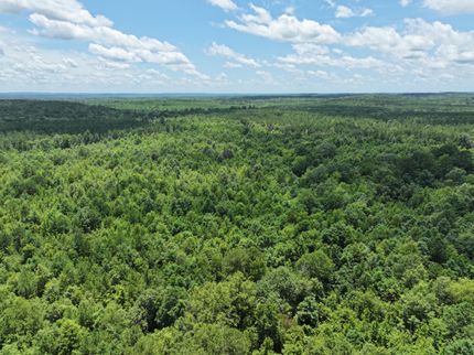 Land for sale in Harrison County, Texas