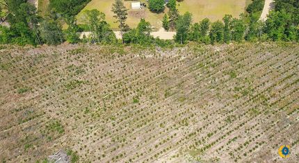 Land for sale in Bulloch County, Georgia