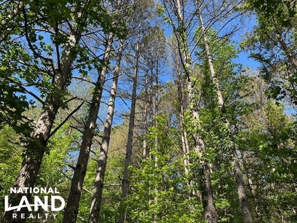 Land for sale in Franklin County, Alabama