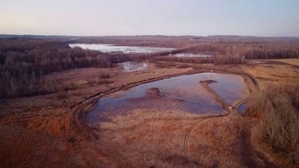 Land for sale in Hopkins County, Kentucky