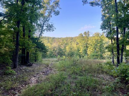 Undeveloped Land for sale in Miller County, Missouri