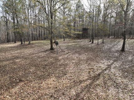 Land for sale in Clay County, Alabama