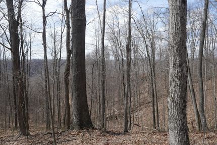 Land for sale in Tazewell County, Virginia