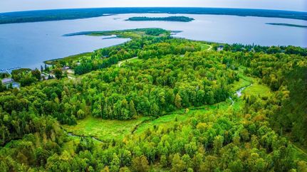 Lakefront Property for sale in Beltrami County, Minnesota