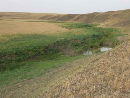 Land for sale in Butte County, South Dakota