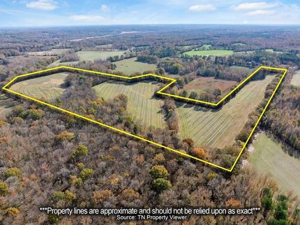 Land for sale in Carroll County, Tennessee