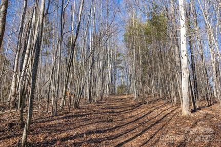 Land for sale in Ashe County, North Carolina