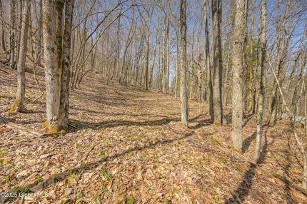 Land for sale in Schoharie County, New York