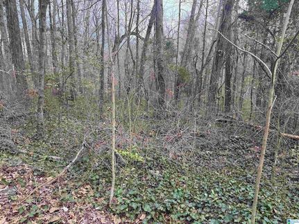 Land for sale in Jefferson County, Alabama