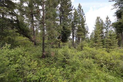 Land for sale in Sanders County, Montana